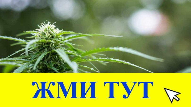 Купить наркотики в Муравленко